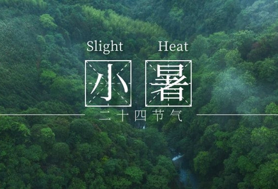 小暑到，盛夏始丨衡陽(yáng)通用電纜提醒您：注意高溫防暑